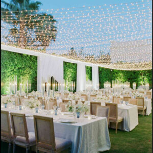 20X20 Open Air Tent with Lights