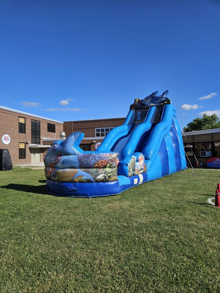 Shark Tank Water Slide