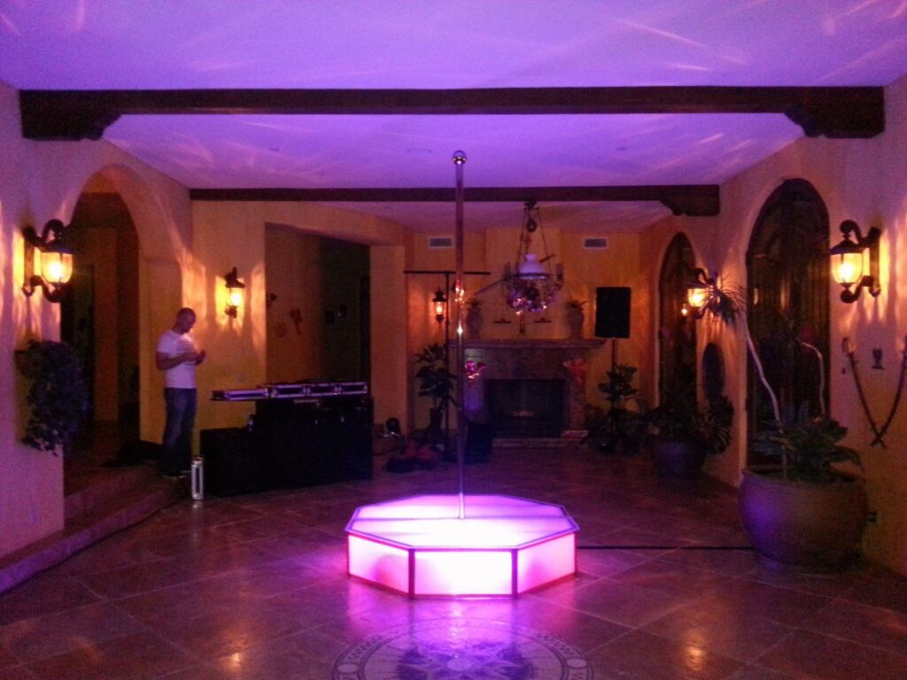 Dance Pole (Lights Not Included)
