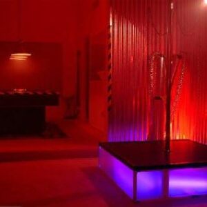 Dance Pole (Lights Not Included) - Image 2