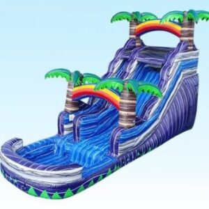 Purple Rainbow Plunger