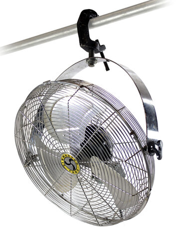 Tent Fan