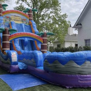 Tiki Plunge Dual Lane Water Slide