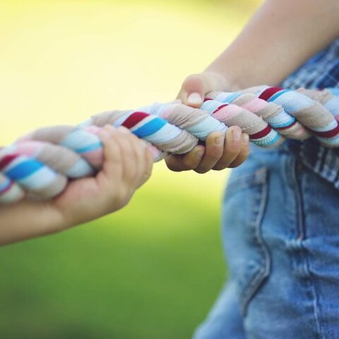 Tug of War Rope